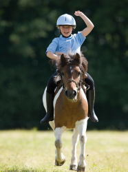 Journée du cheval Journée du cheval