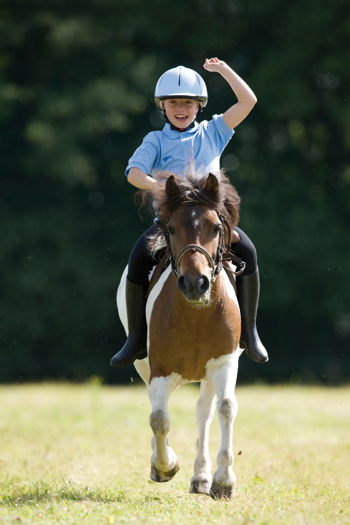 Site de rencontres equitation