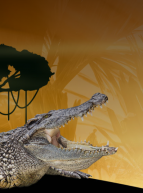 Ferme aux Crocodiles : Halloween 2019