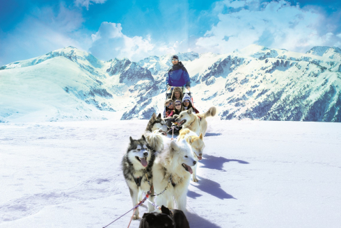 Partez en famille au ski en Ariège Pyrénées - Chien de traîneau