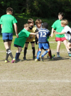Stage Rugby