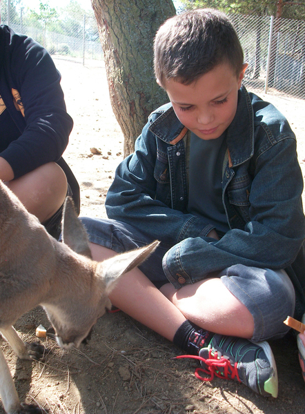 Anniversaire au Parc australien de Carcassonne