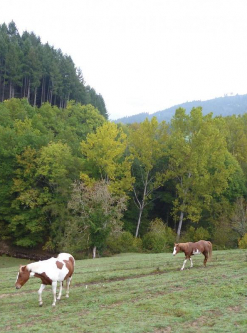 La Ferme de la Vieille Route