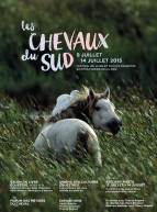 Les Chevaux du sud 2015 : affiche officielle