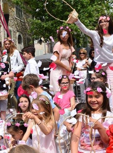 Autour de la Rose