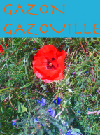 Gazon Gazouille