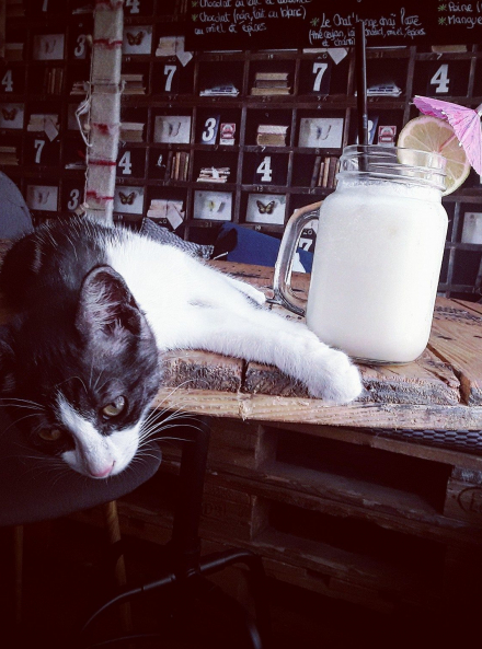 Chat'Lounge