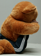 Big Bears Cry Too - Miet Warlop