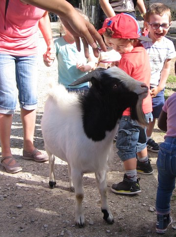 Anniversaire à la Ferme du Paradis