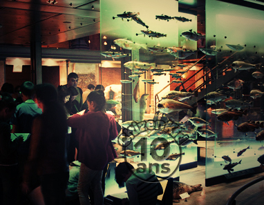 La Grande galerie de l'évolution du Muséum national d'histoire naturelle