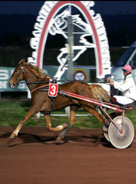 hippodrome-langon