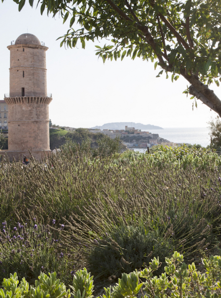 Fête des plantes au Mucem 2019