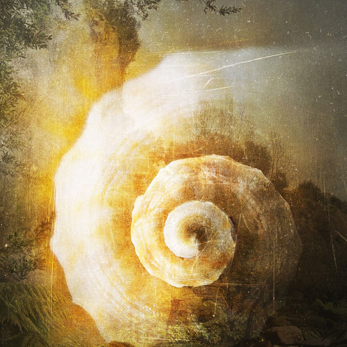 Le Temps qui pousse - balade sonore