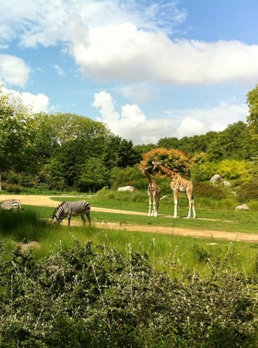 Zoo de Lyon