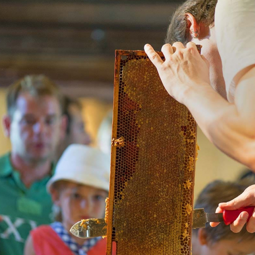 Écomusée de la Bintinais