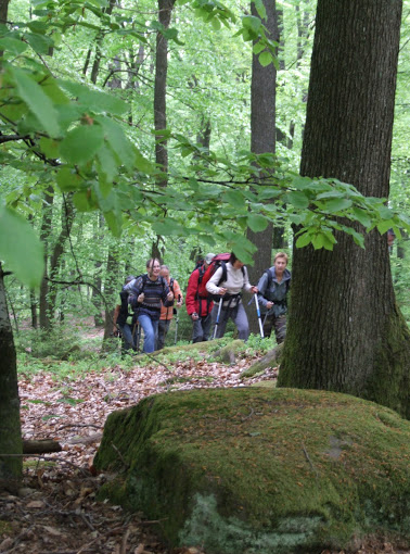 Randonnées pour enfants avec P'tits loups des bois