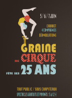 Graine de Cirque fête ses 25 ans