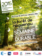 Haguenau 2015 - Forêt de Haguenau