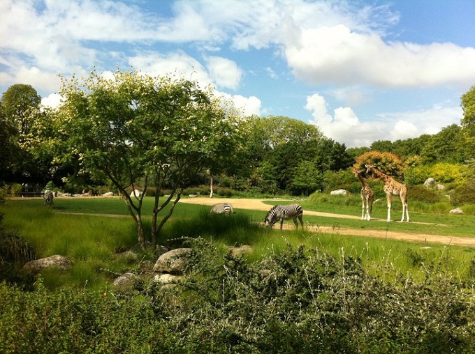 Zoo de Lyon au Parc de la Tête d'Or visite en famille dans les coulisses pour découvrir les Zoo de Lyon au Parc de la Tête d'Or visite en famille dans les coulisses pour découvrir les