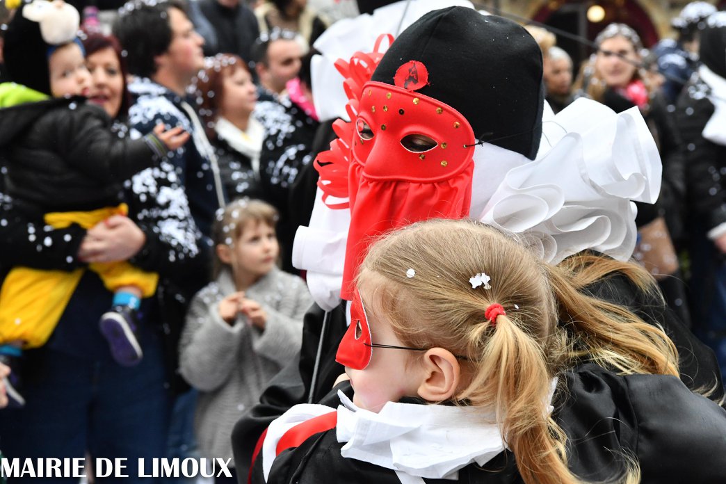 Carnaval de Limoux 2024 faire la fête en famille près de Toulouse