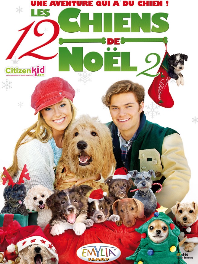 Les Douze Chiens De Noel dvd du fim "Les douzes chiens de Noël 2" à gagner ! - Citizenkid