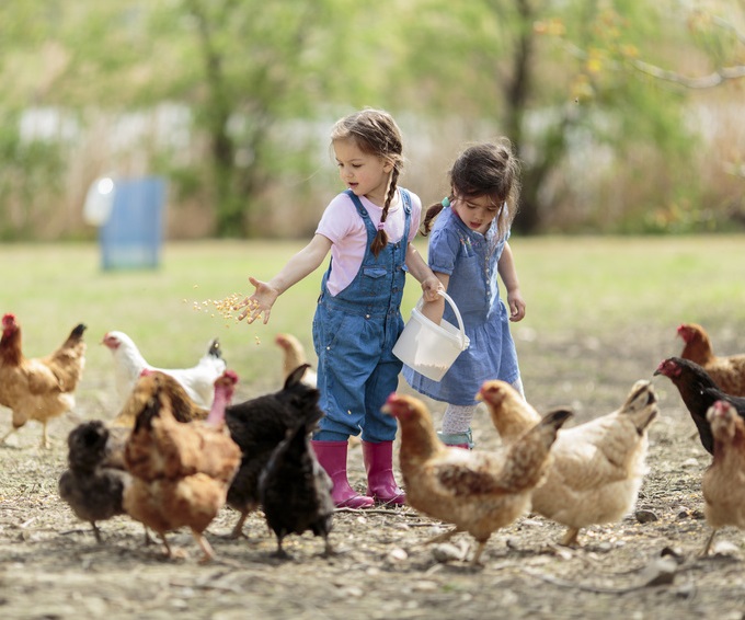 Les fermes pédagogiques : quand les enfants découvrent les animaux