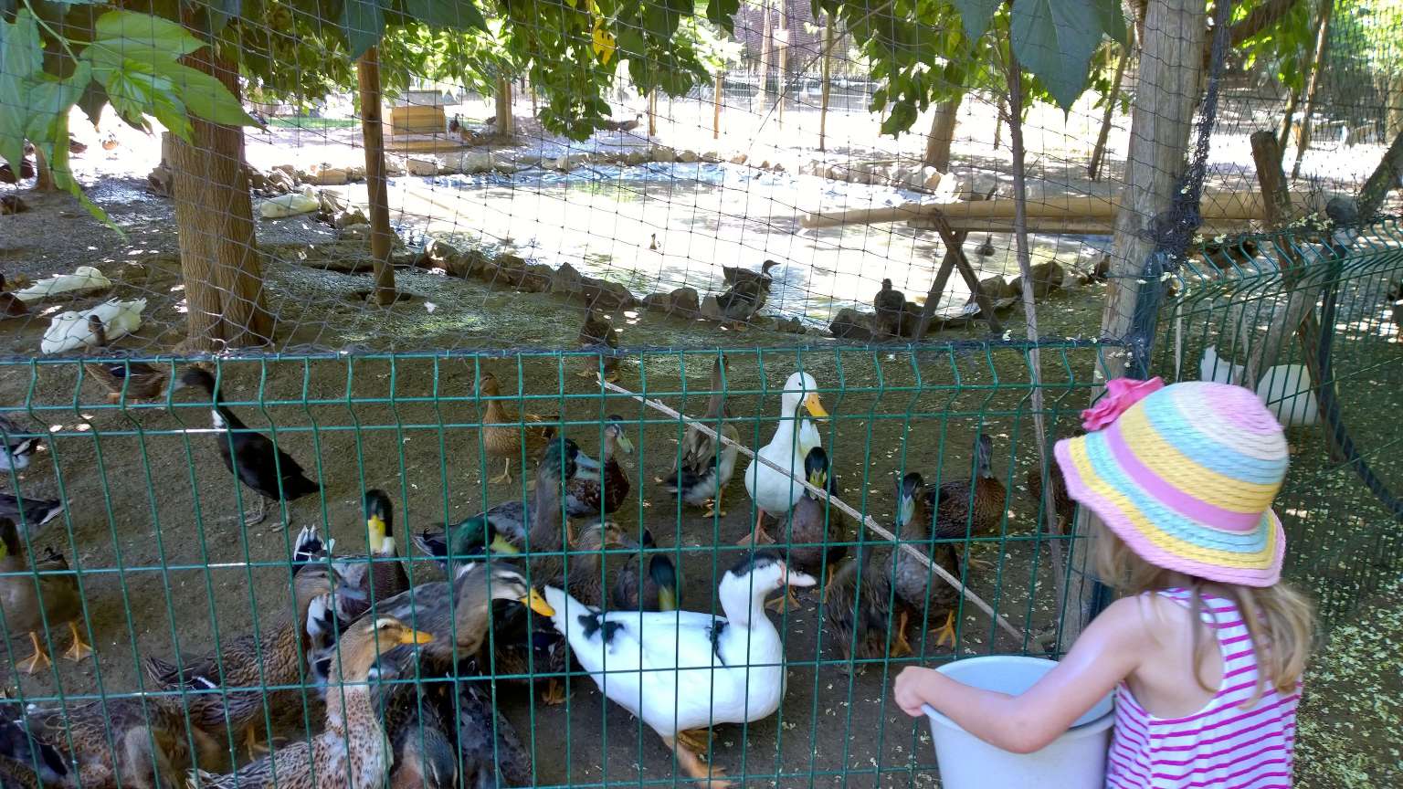 Ferme animalière d'Auriol visites, piquenique, aire de jeux et vente d'animaux pour les