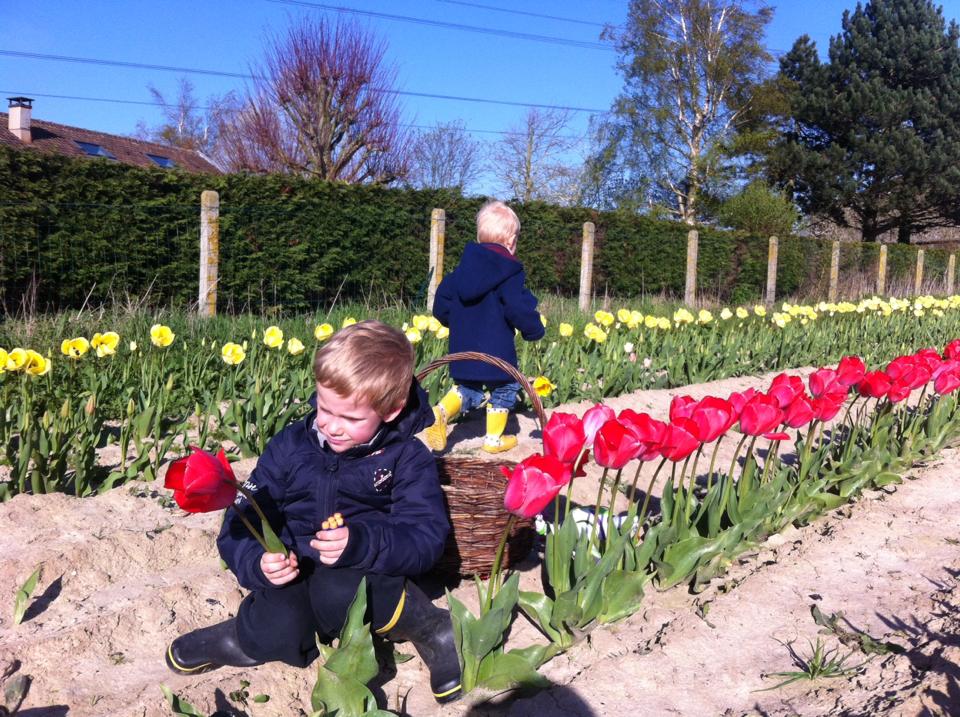 La Ferme Du Paradis Libre Cueillette De Fruits Et Legumes Pres De Lille Citizenkid