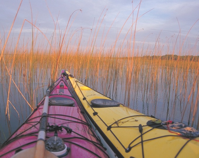 Canoëkayak sur la Leyre dans le parc naturel des Landes Gascognes