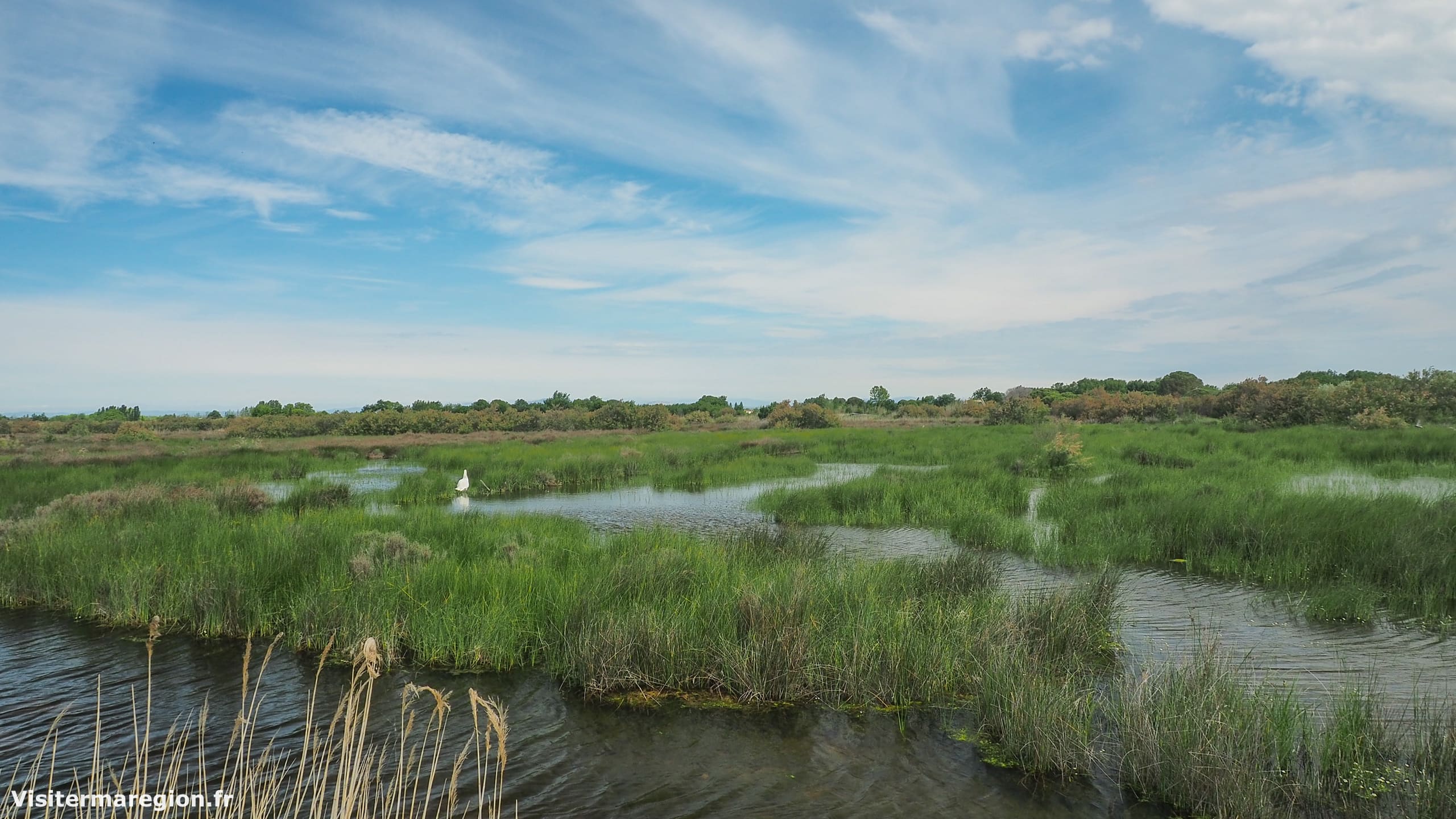 Etang de l'Or baignade et détente en famille près de Montpellier