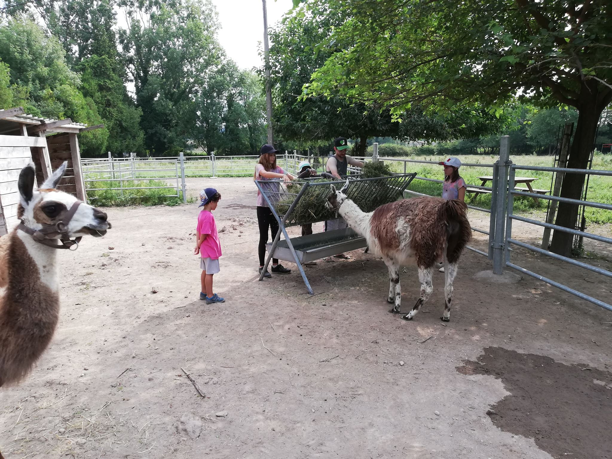 Ferme animalière du Mas de la Gallinière sortie plein air en famille à Marseille Citizenkid