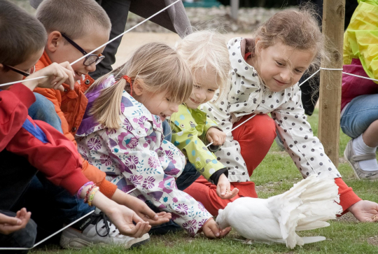 Nouveautés 2019 : Apprivoise-nous au Parc du Petit Prince