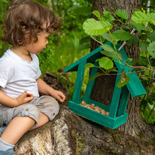 Enfant et nichoir pour oiseaux