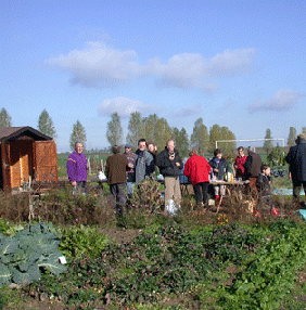 jardinage-voisins-villiers-le-bacle