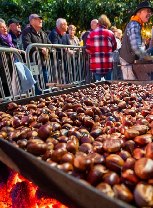 Fête des châtaignes à Antibes : Des gourmandises sur le feu