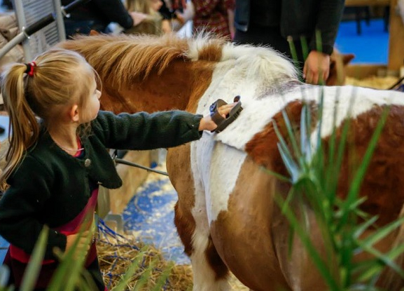 Salon du Cheval Paris