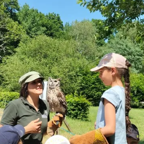 L'Éveil de la Forêt à l'Espace Rambouillet