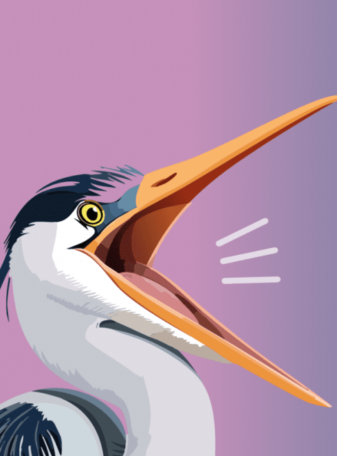 nature en fête plobsheim