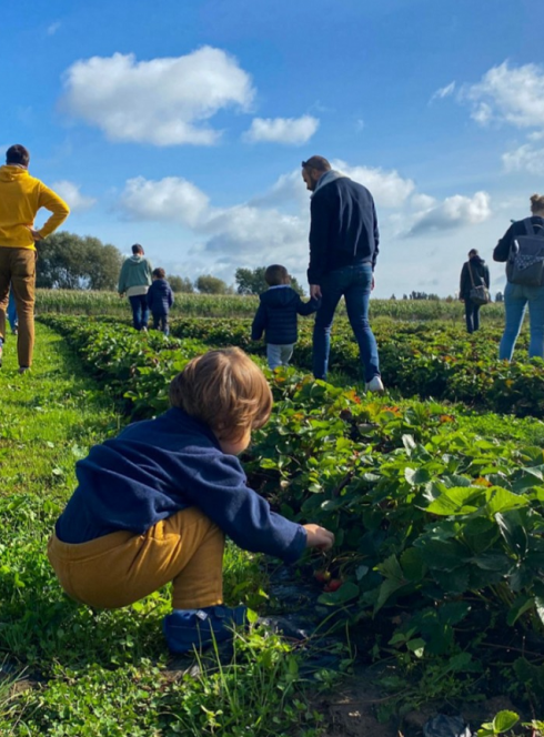 La Ferme du Vinage : Des enfants et des parents récoltent des fraises
