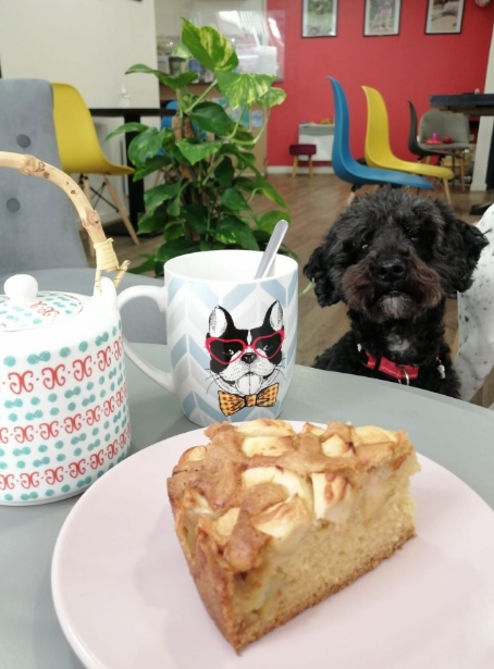 Tea Dog