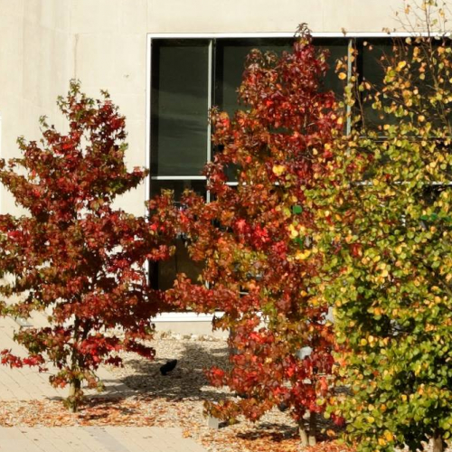 L'automne au Musée Würth