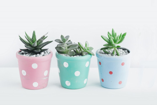 Pot de fleurs à pois