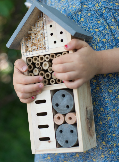 Fabriquer un hôtel à insectes avec les enfants