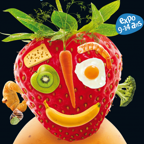 Exposition Bon appétit Muséum Toulouse