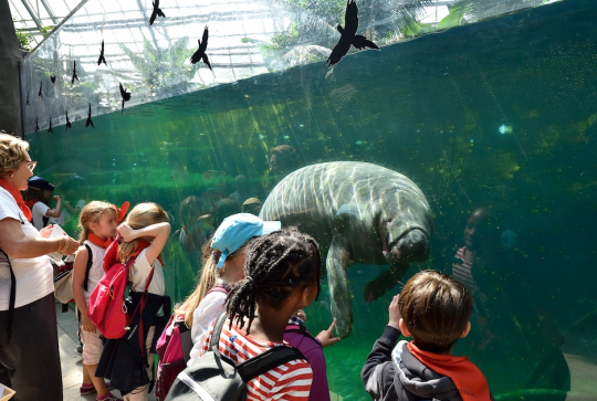 Rendez-vous sauvages en famille au Parc zoologique de Paris