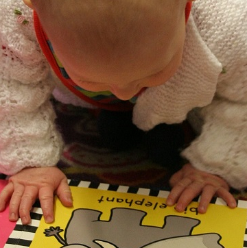 Le jardin des p'tits bouquins