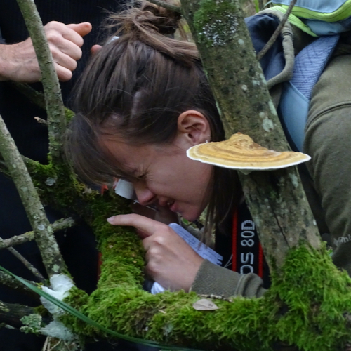 SensibilisationBryo : fête de la nature au Muséum