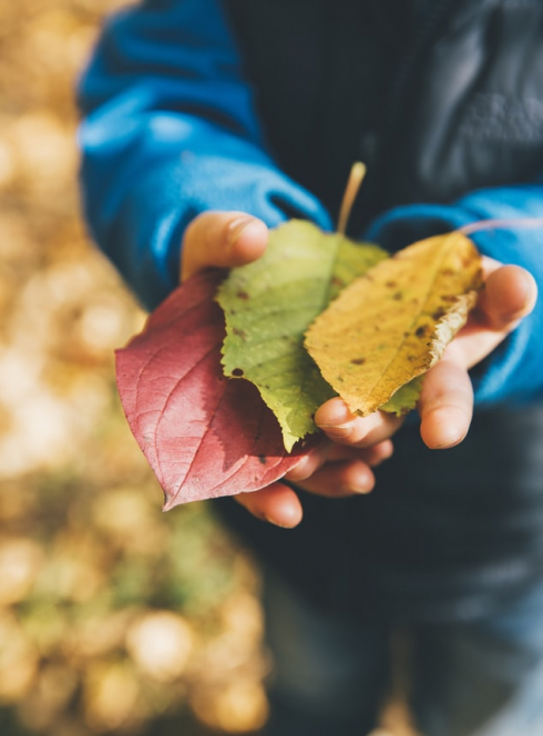 Salon Bio & Co d'automne 2019 à Strasbourg