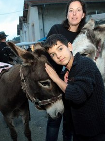 La Ferme en ville 2015