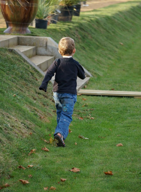 Salon Vieilles Pierres Jeunes Plantes